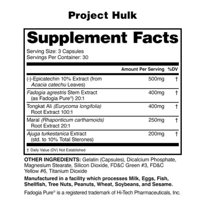 PROJECT HULK