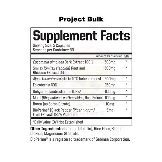 PROJECT BULK