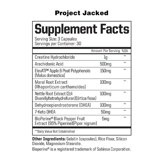 PROJECT JACKED