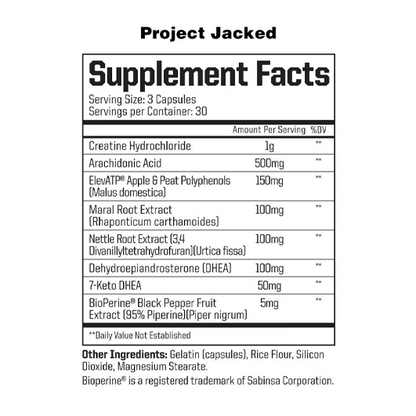 PROJECT JACKED
