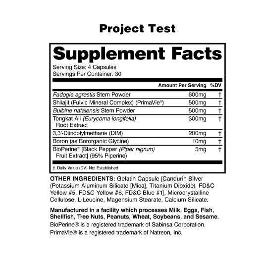 PROJECT TEST