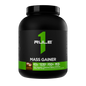 MASS GAINER