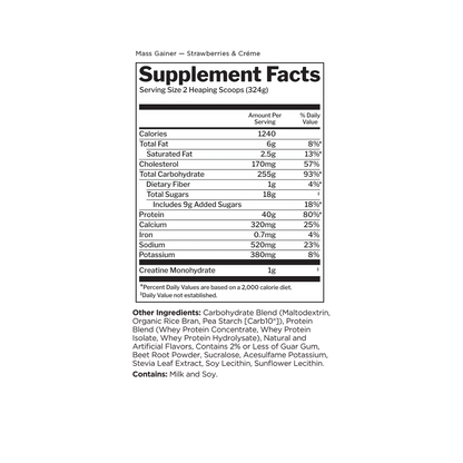 MASS GAINER