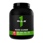 MASS GAINER
