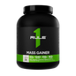 MASS GAINER