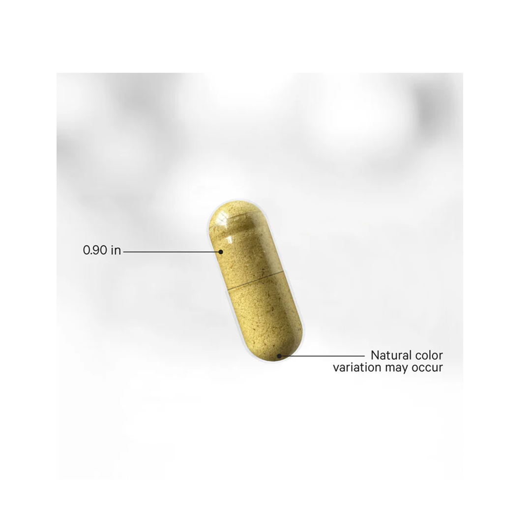 FERMENTED DIGESTIVE ENZYMES +