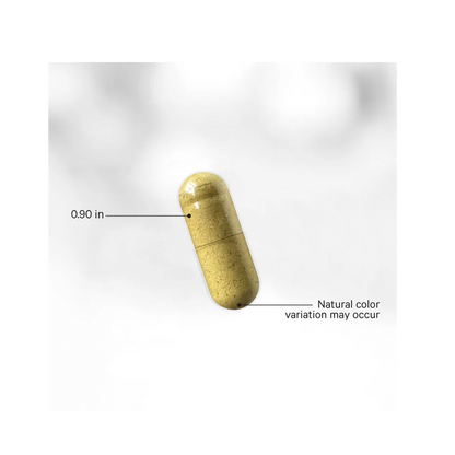 FERMENTED DIGESTIVE ENZYMES +