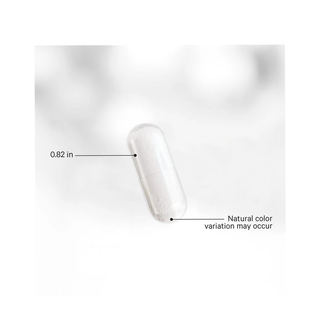 GLP-1 PROBIOTIC +
