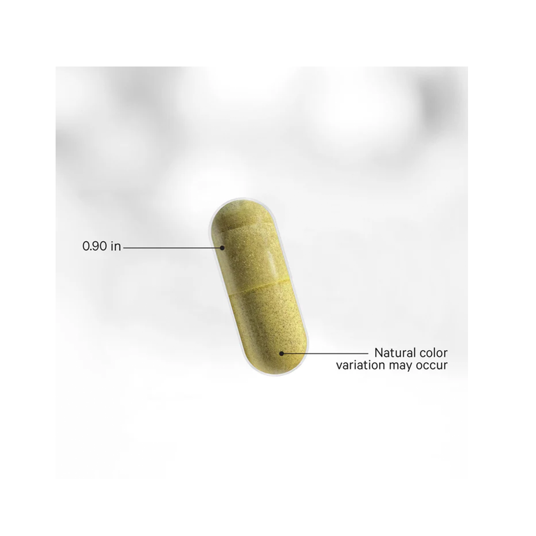 LEAKY GUT FORMULA