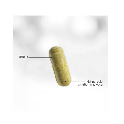 LEAKY GUT FORMULA